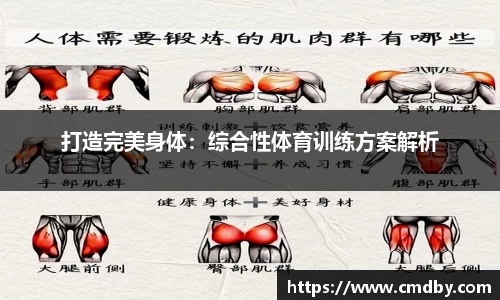 打造完美身体：综合性体育训练方案解析