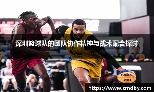乐盈VI